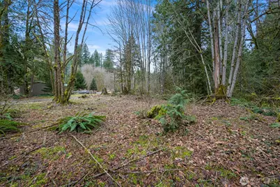 7738 Maple Drive, Maple Falls, WA 98266 - Photo 3