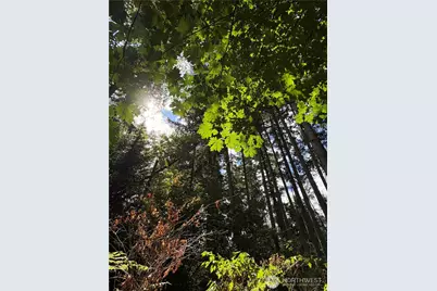 13220 SW 244th St, Vashon, WA 98070 - Photo 9