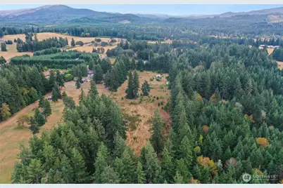 10108 138th Avenue SE, Rainier, WA 98576 - Photo 9