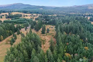 10108 138th Ave SE, Rainier, WA 98576 - Photo 9