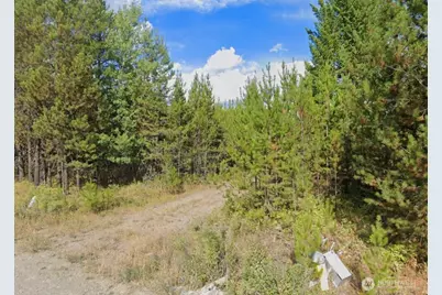 2071 Driskill Road, Newport, WA 99156 - Photo 1