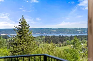 45 Tamerlane Lp, Sequim, WA 98382 - Photo 17