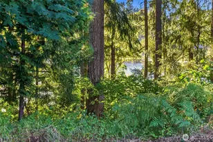 7027 Munn Lake Dr SE, Tumwater, WA 98501 - Photo 3