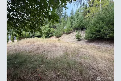 397 NE Larson Lake Road, Belfair, WA 98528 - Photo 7