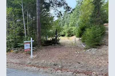 397 NE Larson Lake Road, Belfair, WA 98528 - Photo 1