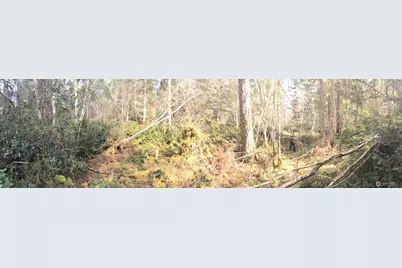 0 160th Avenue NW, Gig Harbor, WA 98329 - Photo 1