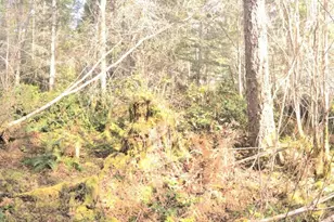 0 160th Ave NW, Gig Harbor, WA 98329 - Photo 1