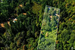 29707 113th Ave E, Graham, WA 98338 - Photo 39