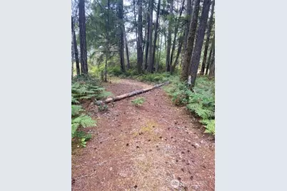 31 N Rainbow Way W, Hoodsport, WA 98548 - Photo 1