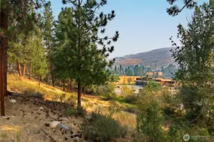 202 Cascadian Way, Winthrop, WA 98862 - Photo 15