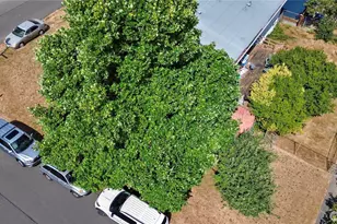 10504 12th Ave NW, Seattle, WA 98177 - Photo 3
