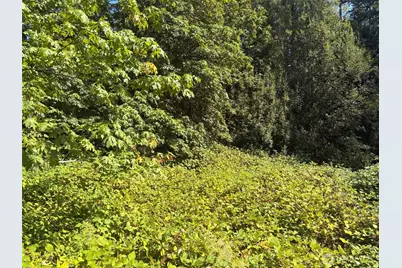 0 Oak Street, Quilcene, WA 98376 - Photo 3