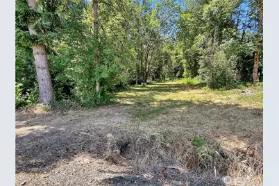 0 On Rush Road, Napavine, WA 98532 - Photo 9