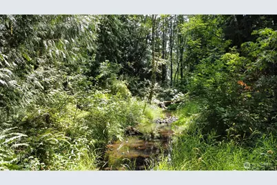 0 On Rush Road, Napavine, WA 98532 - Photo 13