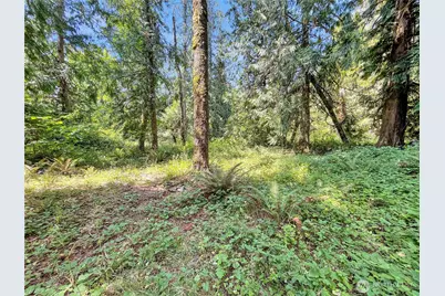0 On Rush Road, Napavine, WA 98532 - Photo 7