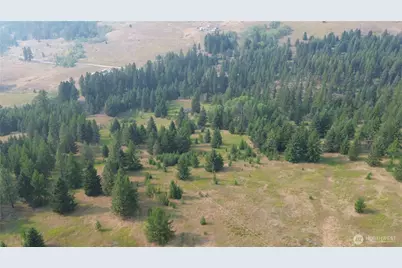 519 Pontiac Ridge Road, Oroville, WA 98844 - Photo 7