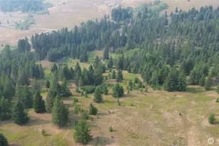 519 Pontiac Ridge Rd, Oroville, WA 98844 - Photo 7