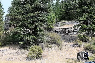 38 Excelsior Way, Curlew, WA 99166 - Photo 17