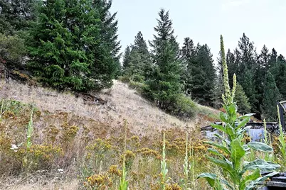 38 Excelsior Way, Curlew, WA 99166 - Photo 21