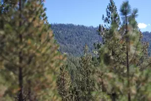 0 Long Horn Trail, Riverside, WA 98849 - Photo 1