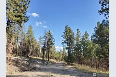 0 Long Horn Trail, Riverside, WA 98849 - Photo 5