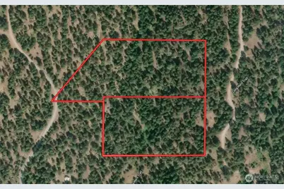 0 Long Horn Trail, Riverside, WA 98849 - Photo 3