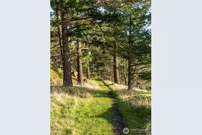 61 Yew Lane, Lopez Island, WA 98261 - Photo 27