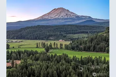 64 Good Road, Trout Lake, WA 98650 - Photo 3