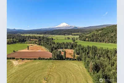 64 Good Road, Trout Lake, WA 98650 - Photo 19