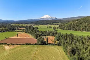 64 Good Rd, Trout Lake, WA 98650 - Photo 19
