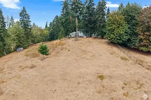 444 143rd Ave SE, Tenino, WA 98589 - Photo 37
