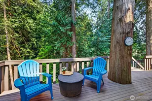 16224 195th Pl NE, Woodinville, WA 98077 - Photo 27