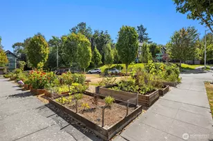 7174 27th Ave SW, Seattle, WA 98106 - Photo 35