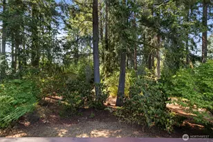 18922 9th Ave Ct E, Spanaway, WA 98387 - Photo 25