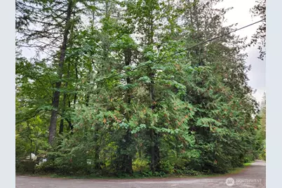 19504 River Place, Index, WA 98294 - Photo 3
