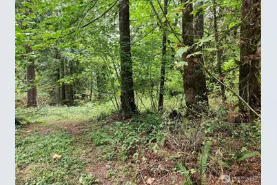 19504 River Place, Index, WA 98294 - Photo 5