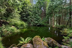25235 SE Mirrormont Dr, Issaquah, WA 98027 - Photo 3