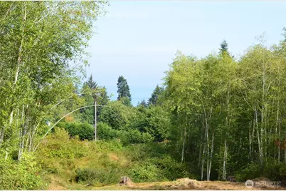 1050 Andy Cooper Road, Port Ludlow, WA 98365 - Photo 9
