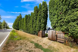 6108 Juno Pl, Ferndale, WA 98248 - Photo 33