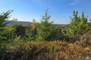 16001 223rd Ave E, Orting, WA 98360 - Photo 1