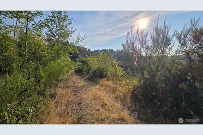 16001 223rd Avenue E, Orting, WA 98360 - Photo 9