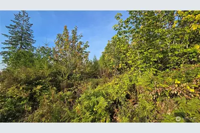 16001 223rd Avenue E, Orting, WA 98360 - Photo 17