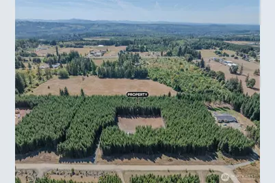 263 Twinflower Lane, Onalaska, WA 98570 - Photo 15