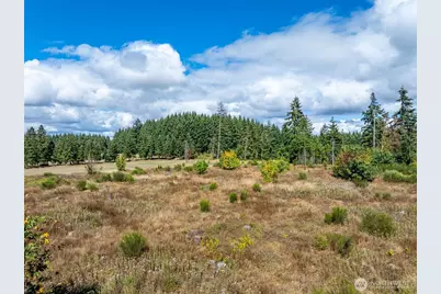 0 McGlaughlin Road #6, Winlock, WA 98596 - Photo 23