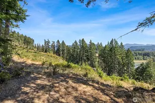 168 Boyd, Randle, WA 98377 - Photo 29