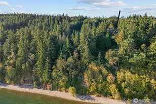 156 Hazel Point Ct, Quilcene, WA 98376 - Photo 39