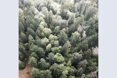 5400 224th E, Spanaway, WA 98387 - Photo 7