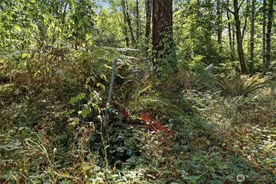 2041 E Rasor Rd, Belfair, WA 98528 - Photo 7