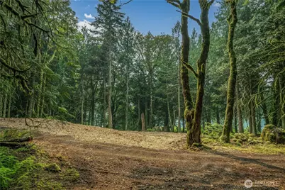 9267 Upper Frost Creek Road, Maple Falls, WA 98266 - Photo 27