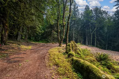 9267 Upper Frost Creek Road, Maple Falls, WA 98266 - Photo 31